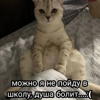 🤨 emoji Я гуль тру дота sss+ Telegram sticker 21 of 42