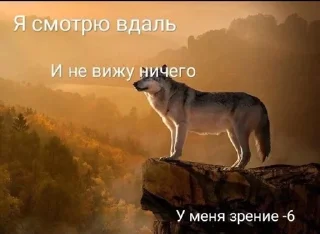 🌟 emoji волки Telegram sticker 12 of 17