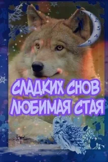Sticker from волки