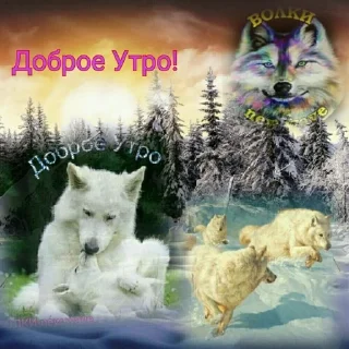 🌟 emoji волки Telegram sticker 14 of 17