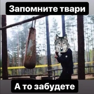 🌟 emoji волки Telegram sticker 11 of 17