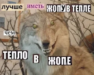 Sticker from волки