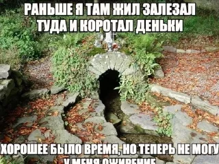 Sticker from Ляси тяси