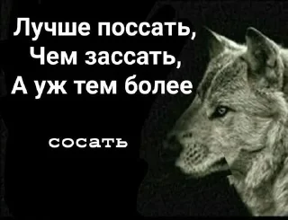 🌟 emoji волки Telegram sticker 8 of 17