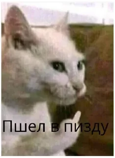 🖕 emoji кринжатина Telegram sticker 23 of 107