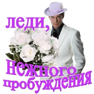 Sticker from Ахуенные мемы