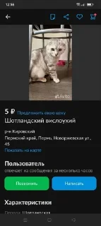 Sticker from Свинья
