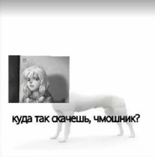 Sticker from Куда так скачешь чмошник?