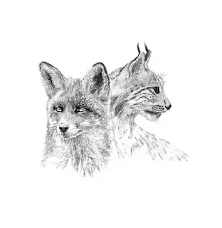 Sticker from Алиса и Арыся рысь и лиса