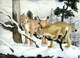 Sticker from Алиса и Арыся рысь и лиса