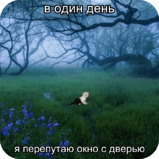 Sticker from @weqneh делала