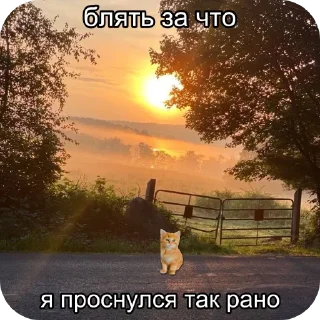 Sticker from @weqneh делала