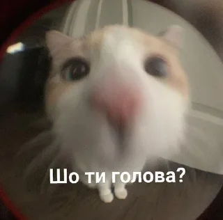 Sticker from ✨ українське ✨