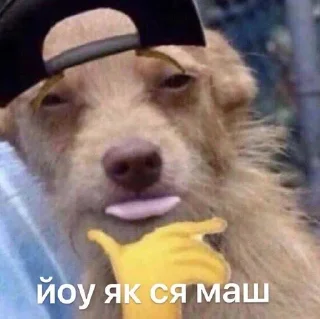 Sticker from ✨ українське ✨