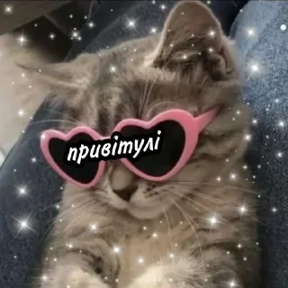 Sticker from ✨ українське ✨