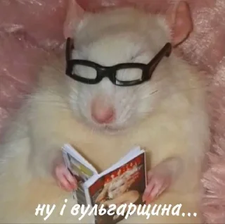 Sticker from ✨ українське ✨