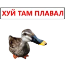 Sticker from Duck @TVstickers