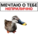 Sticker from Duck @TVstickers