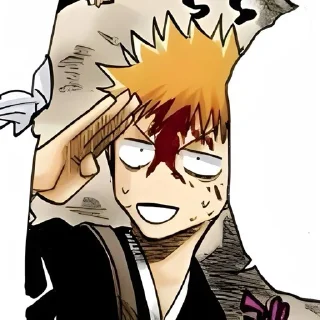 Sticker from Ichigo Kurosaki🍁| @suoksiiiopinion