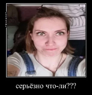 🤔 emoji поклоняюсь серафиме владимировне Telegram sticker 24 of 59