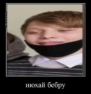 🙄 emoji поклоняюсь серафиме владимировне Telegram sticker 15 of 59