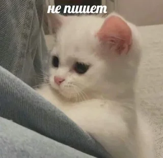Sticker from ЯTeAmo