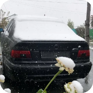 🚗 emoji Бемеве прокуратура Telegram sticker 14 of 19