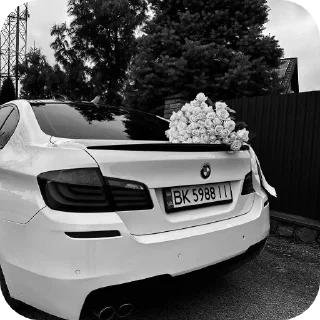 🚗 emoji Бемеве прокуратура Telegram sticker 7 of 19