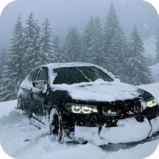 🚗 emoji Бемеве прокуратура Telegram sticker 2 of 19