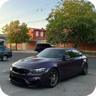🚗 emoji Бемеве прокуратура Telegram sticker 6 of 19