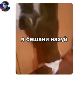 Sticker from 🇷🇺Русская Национальная Импер pack by @QuotLyBot