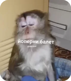 🌟 emoji сіґма Telegram sticker 21 of 32
