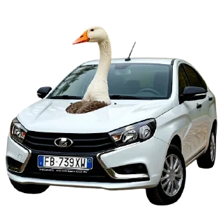 🪿 emoji Итальянские животные Telegram sticker 10 of 23