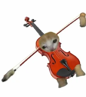 🎻 emoji Еда из котиков Telegram sticker 22 of 44