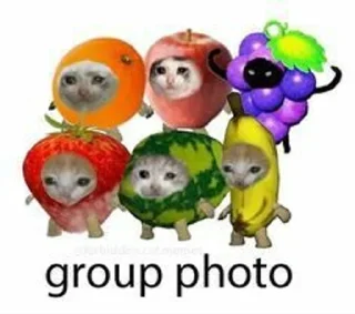 🗿 emoji Еда из котиков Telegram sticker 12 of 44