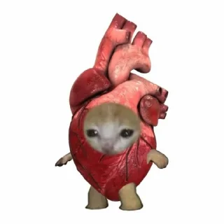 🫀 emoji Еда из котиков Telegram sticker 10 of 44