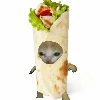 🌯 emoji Еда из котиков Telegram sticker 13 of 44