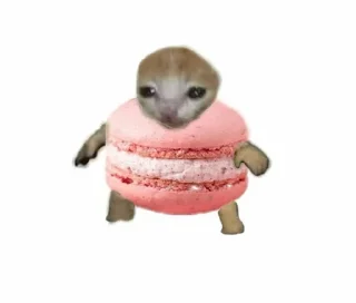 🍩 emoji Еда из котиков Telegram sticker 9 of 44