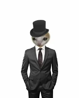 🤵 emoji Еда из котиков Telegram sticker 8 of 44