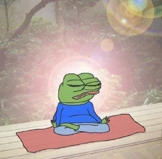 🧘‍♀️ emoji Ваня Капибара Telegram sticker 11 of 48