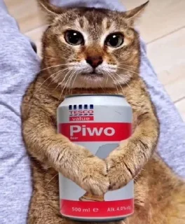 🍺 emoji Ваня Капибара Telegram sticker 21 of 48