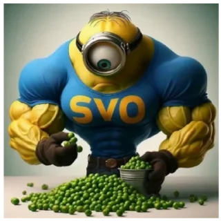 Sticker from SVO