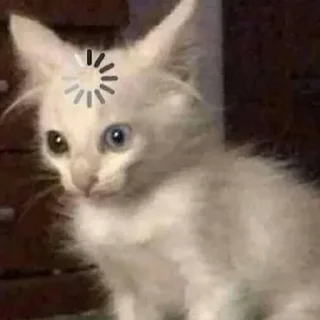 😳 emoji луна цист Telegram sticker 19 of 25