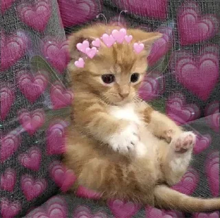 💗 emoji луна цист Telegram sticker 21 of 25