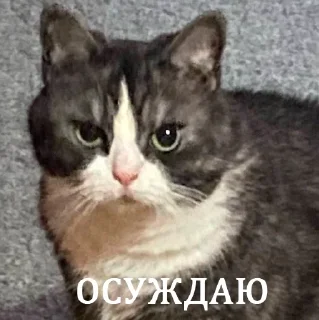 👺 emoji их боялась вся москва Telegram sticker 11 of 90