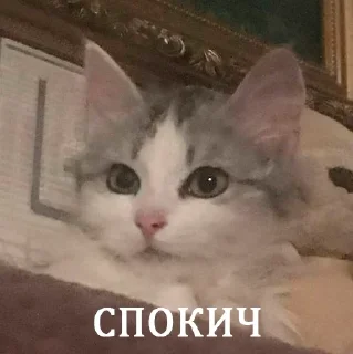 😴 emoji их боялась вся москва Telegram sticker 10 of 90