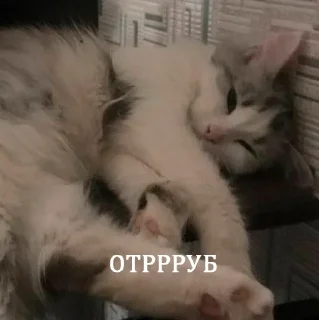 😋 emoji их боялась вся москва Telegram sticker 9 of 90