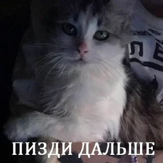 🤗 emoji их боялась вся москва Telegram sticker 14 of 90