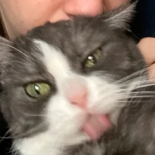 😮‍💨 emoji их боялась вся москва Telegram sticker 19 of 90