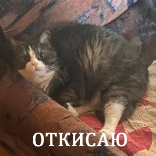 😎 emoji их боялась вся москва Telegram sticker 7 of 90